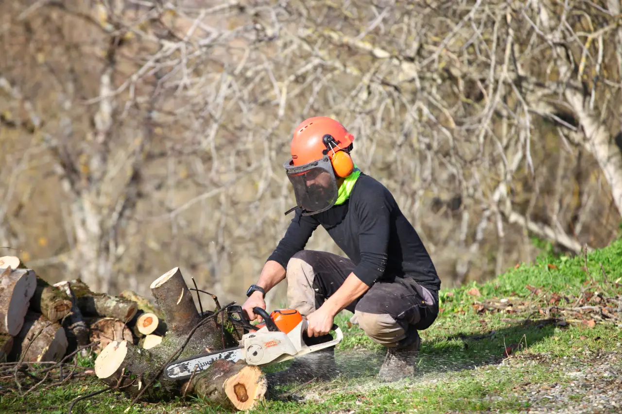 Nicolas Cagna, jardinier Vert Occitan, coupe un tronc d’arbre à la tronçonneuse