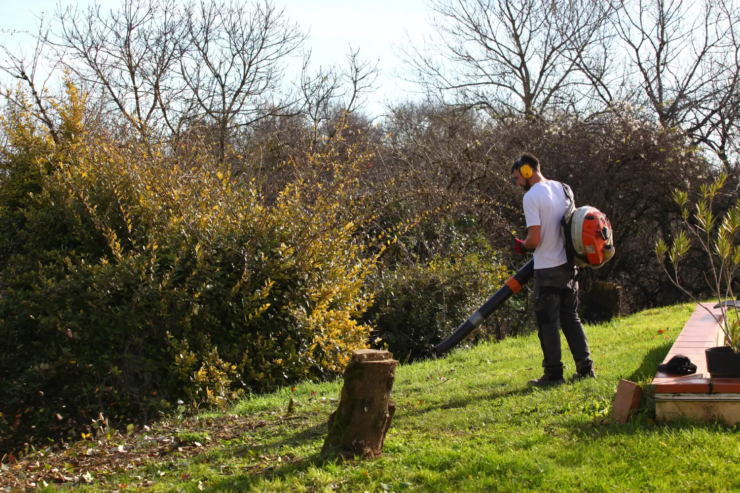 Nettoyage du jardin en septembre par un jardinier Vert Occitan