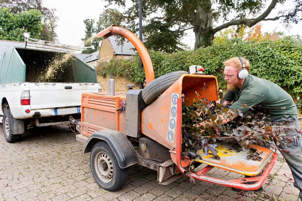 Broyage de branches après la taille d’une haie