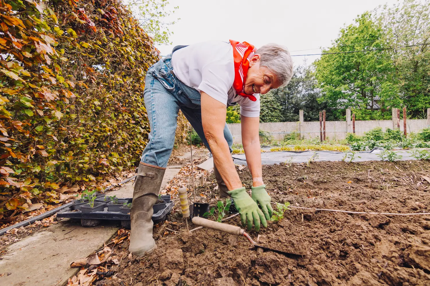 Réaménagement d’un massif paysager dans un jardin
